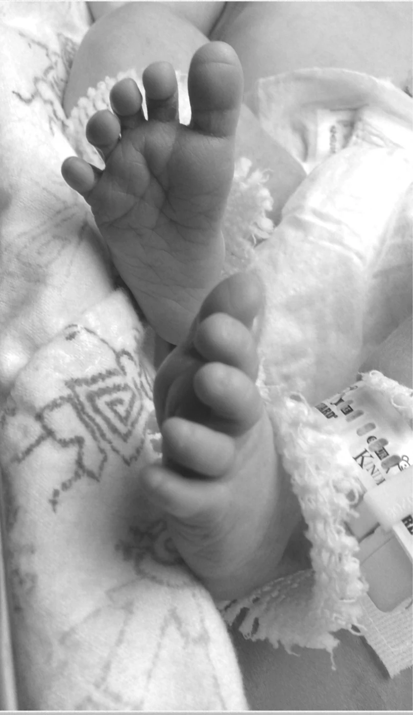 Newborn hands and feet resting in a blanket